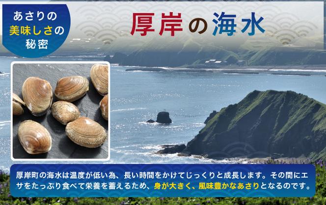 砂出し済み！ 北海道 厚岸産 北海あさり 2kgお届け (500g×4パック) 【 3ヵ月 定期便 】 (各回2kg×3ヶ月分,合計約6kg) 