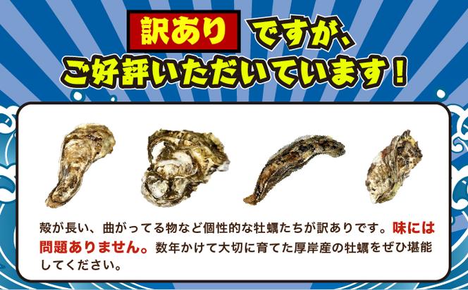 訳あり 牡蠣 北海道厚岸産 殻付カキ 約4kg (25から50個) カキナイフ付 生食