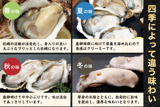 訳あり 牡蠣 北海道厚岸産 殻付カキ 約4kg (25から50個) カキナイフ付 生食