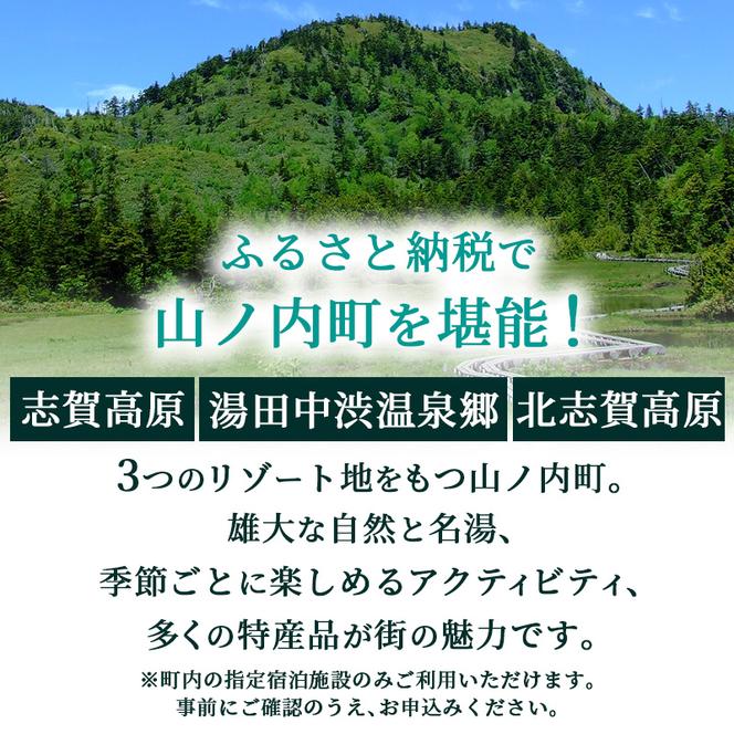 山ノ内町内宿泊補助券（2枚）1年間有効 10,000円分 旅行 宿泊券 ホテル 旅館 チケット 宿泊 補助券 志賀高原 湯田中渋温泉郷 北志賀高原 地獄谷野猿公苑  温泉 ギフト 自然 観光 長野県 信州 冬 スキー