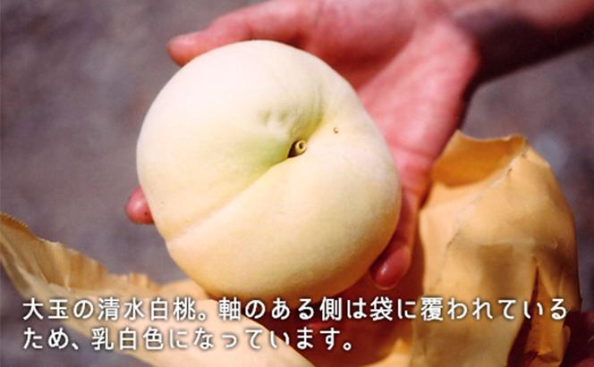 桃 2024年 先行予約 清水白桃 約2.2kg 大玉 6～7玉 もも モモ 岡山県産 国産 フルーツ 果物 ギフト 