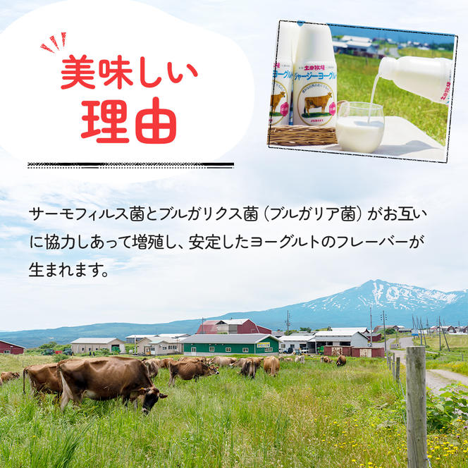 土田牧場 のむヨーグルト 900ml×1本 「ジャージーヨーグルト」（飲む ヨーグルト 健康 栄養 豊富）