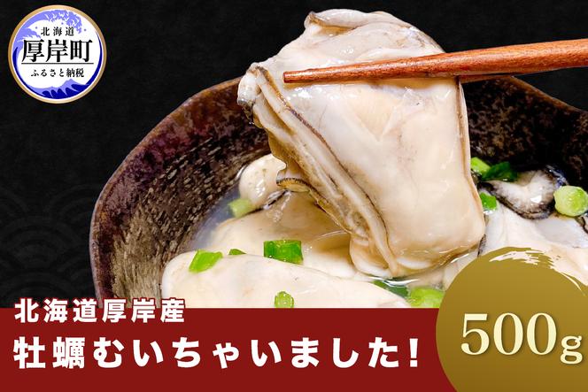 牡蠣 北海道厚岸産 牡蠣むいちゃいました！ 生食用 500g×1 むき身