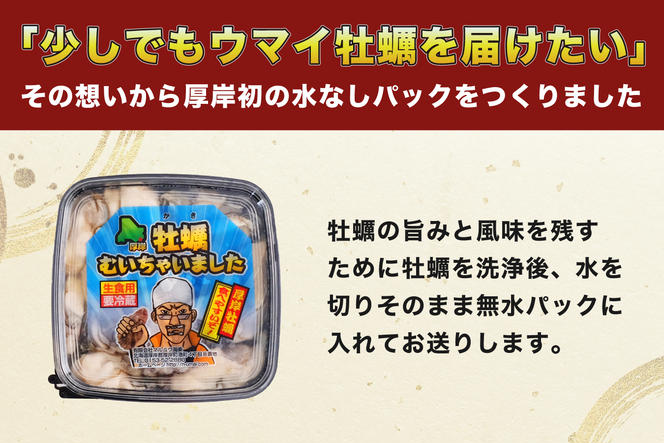 牡蠣 北海道厚岸産 牡蠣むいちゃいました！ 生食用 500g×1 むき身