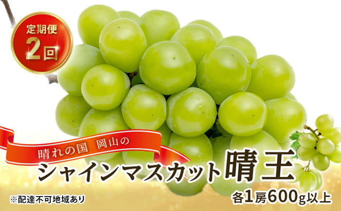 ぶどう 2024年 先行予約 晴れの国 岡山の シャイン マスカット 晴王 定期便 2回（各1房600g以上） 葡萄  岡山県産 国産 フルーツ ギフト
