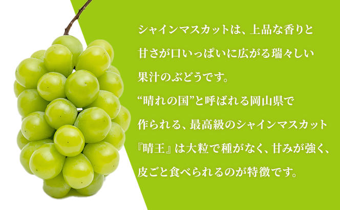 ぶどう 2024年 先行予約 晴れの国 岡山の シャイン マスカット 晴王 定期便 2回（各1房600g以上） 葡萄  岡山県産 国産 フルーツ ギフト