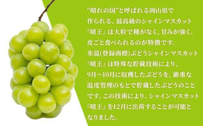 ぶどう 2024年 先行予約 3回お届け！  晴れの国 岡山の シャイン マスカット  晴王 ×3回！（各1房） 葡萄  岡山県産 国産 フルーツ ギフト