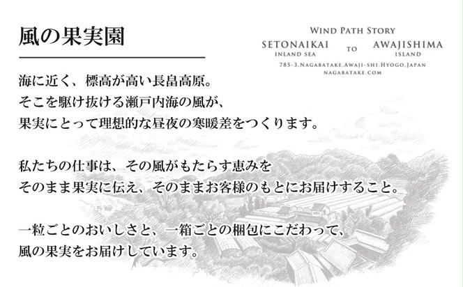 長畠高原苺園 朝採り大粒いちご【1月より順次出荷・お届け日指定不可】