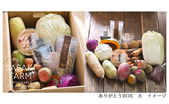 〈自然栽培〉佐々木ファーム　旬の野菜詰め合わせ　～ありがとうBOX 2024・大～　やさい　直送　北海道　洞爺湖町