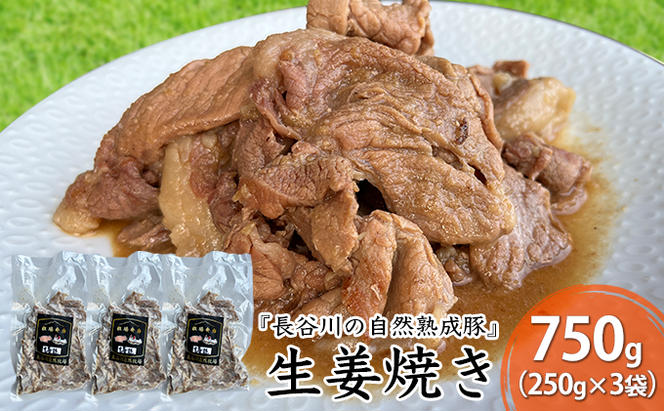 生姜焼き 750g (250g×3袋) 長谷川の自然熟成豚 湯煎 湯せん おかず 惣菜 レトルト レトルト食品 簡単調理 豚 ぶた ブタ 豚肉 肉 お肉 キャンプ アウトドア キャンプ飯 青森 青森県