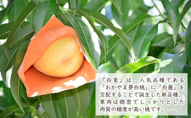 桃 2024年 先行予約 白皇 約1.5kg 5～6玉 もも モモ 岡山県産 国産 フルーツ 果物 ギフト