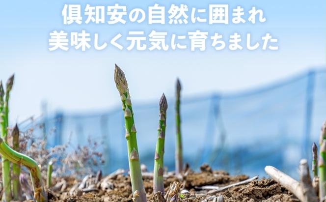 アスパラガス 北海道 グリーン 2kg セット Lサイズ 春 限定 旬 朝採り 新鮮 野菜 アスパラ ギフト gift 産地直送 産直 お取り寄せ 詰め合わせ 送料無料 