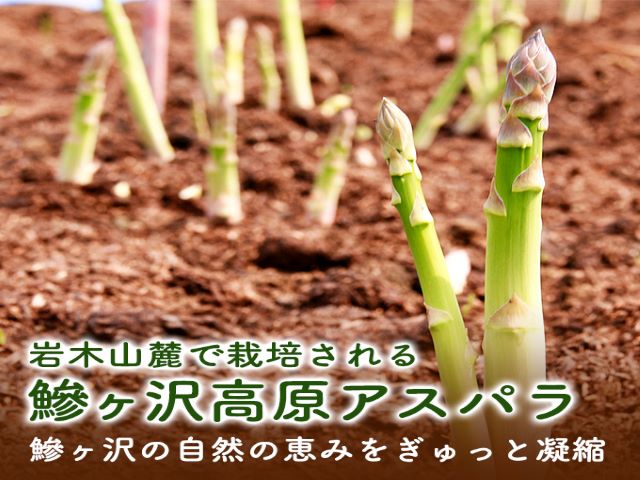 【先行予約2025年産】やまたけ農園の春アスパラガス！約1kg（M～2L混合）【5月6月発送】青森県鰺ヶ沢町産