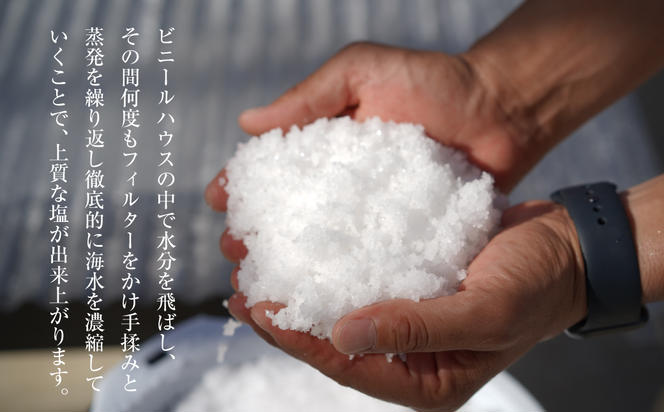 淡路島海塩 TEN-PI-EN 小粒大粒セット 50g×4袋