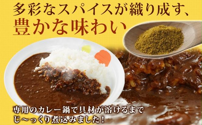 カレー 松屋 オリジナルカレーの具 10個 冷凍 セット