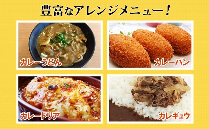 カレー 松屋 オリジナルカレーの具 10個 冷凍 セット