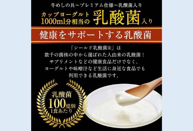 牛丼 松屋 乳酸菌入 プレミアム仕様 牛めしの具 10個 冷凍 セット