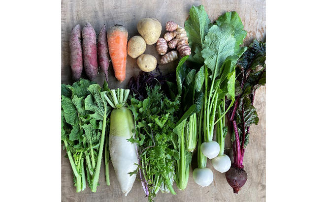 季節の野菜セット12か月連続お届け　栽培期間中　無農薬、無科学肥料