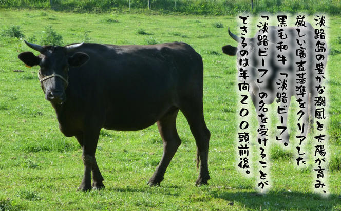 淡路島産黒毛和牛 赤身焼肉用300ｇ【淡路ビーフ】