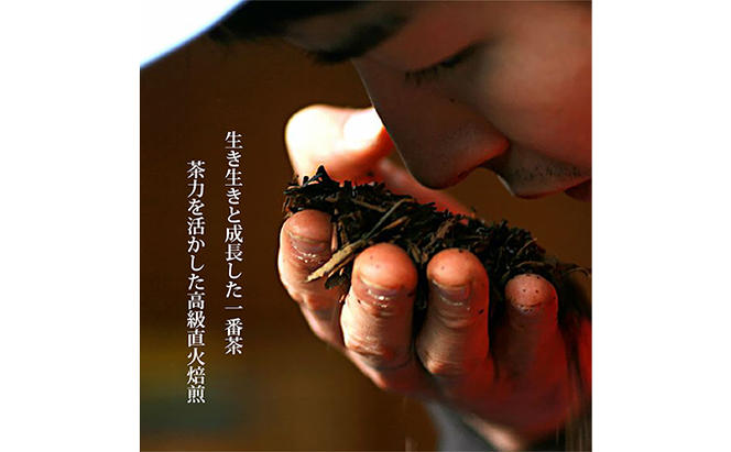 【完全有機栽培】煎茶B10本セット（有機JAS）[365548]