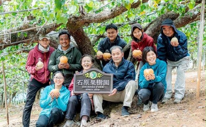 梨 2024年 先行予約 あたご梨・鴨梨（ヤーリー）詰合せ 合計約3kg 贈答箱 ナシ なし 岡山県産 国産 フルーツ 果物 ギフト 石原果樹園