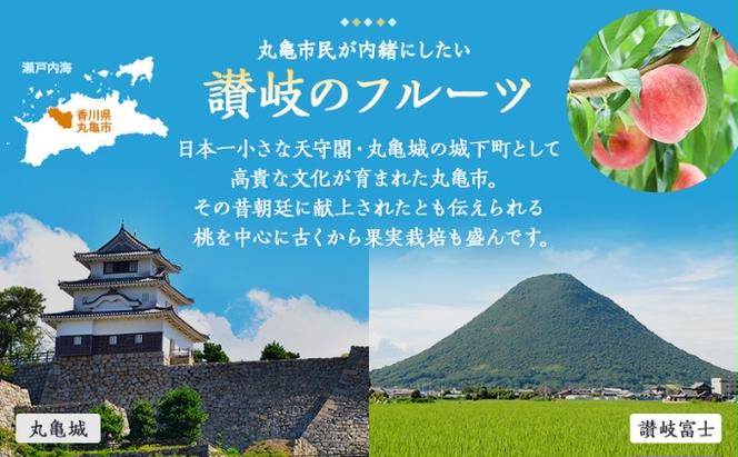 フルーツ定期便 丸亀讃美果 計2回定期便／ 果実 果物 旬 定期配送 シャインマスカット 桃 みかん いちご ピオーネ ぶどう　詰め合わせ 詰合せ