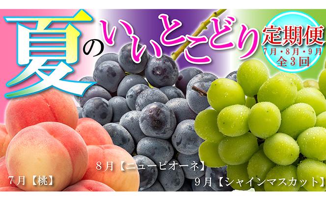 【全3回】フルーツ定期便「丸亀市夏のいいとこどり定期便」/シャインマスカット 桃 ピオーネ  定期配送 頒布会 果実 果物