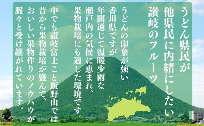 【全3回】フルーツ定期便「丸亀市夏のいいとこどり定期便」/シャインマスカット 桃 ピオーネ  定期配送 頒布会 果実 果物