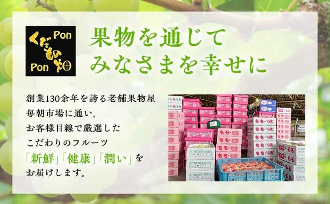 【全3回】フルーツ定期便「丸亀市夏のいいとこどり定期便」/シャインマスカット 桃 ピオーネ  定期配送 頒布会 果実 果物