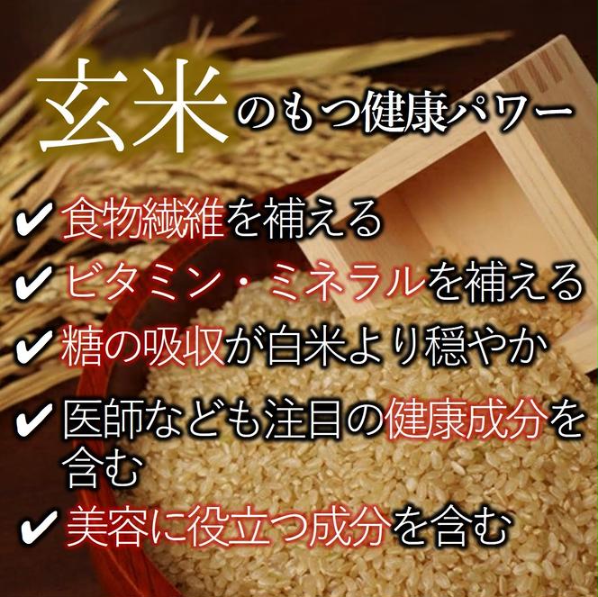 健康志向の方におすすめ【きぬむすめ】令和６年産 新米 玄米10kg（10kg×1袋）(19-42)