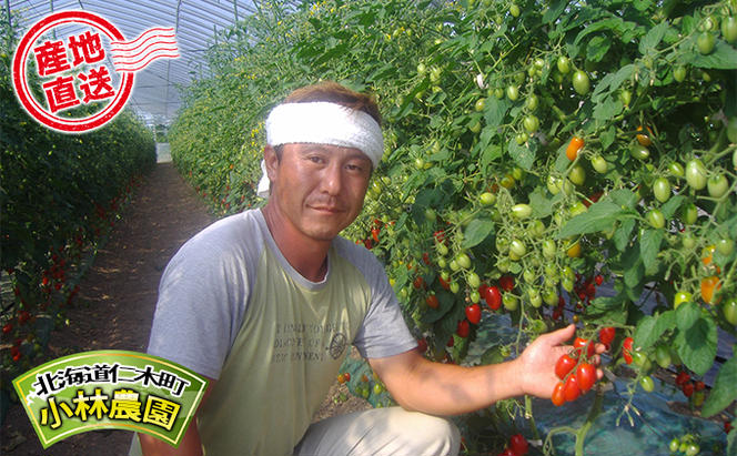 5箱 小林農園 完熟トマト チキンレッグ 丸ごと スープカレー 300g 北海道 仁木町