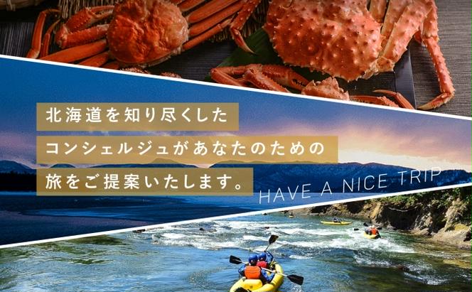 【CF】【北海道ツアー】ニセコ 倶知安町 後から選べる旅行Webカタログで使える！ 旅行クーポン（90,000円分） 旅行券 宿泊券 飲食券 体験サービス券 温泉 お食事券 チケット スキーチケット 