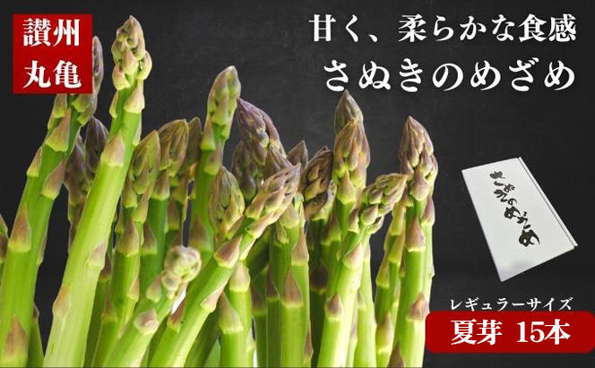【6月上旬～9月上旬】 アスパラ アスパラガス 1.5kg さぬきのめざめ 夏芽 グリーンアスパラ グリーンアスパラガス 野菜 やさい ベジタブル 食物繊維 先行予約 期間限定 香川県 丸亀市