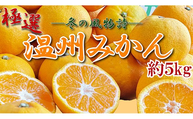 極撰！温州みかん　約５kg【11月以降発送開始】