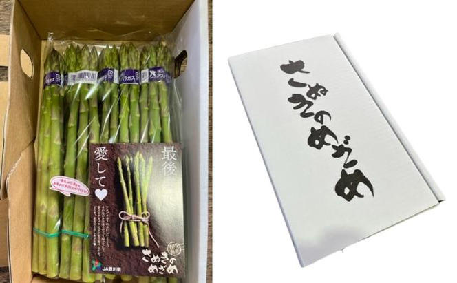 【6月上旬～9月上旬】 アスパラ アスパラガス 1.5kg さぬきのめざめ 夏芽 グリーンアスパラ グリーンアスパラガス 野菜 やさい ベジタブル 食物繊維 先行予約 期間限定 香川県 丸亀市