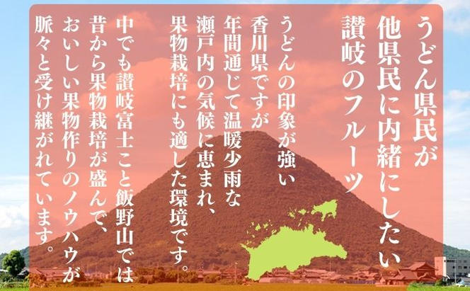 極撰！小原紅早生真っ赤なみかん　約５kg【12月以降発送開始】