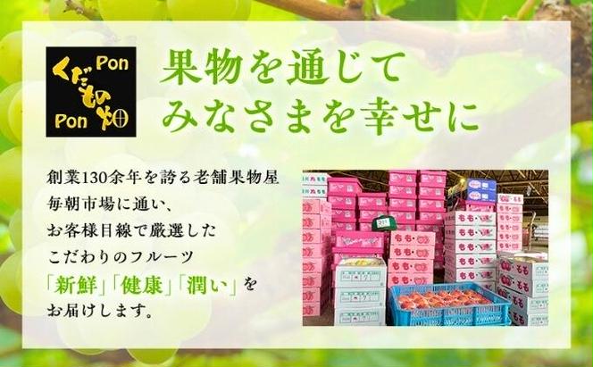 丸亀の紅い宝石！秀品！さぬきひめ　12パック【1月中旬以降発送開始】