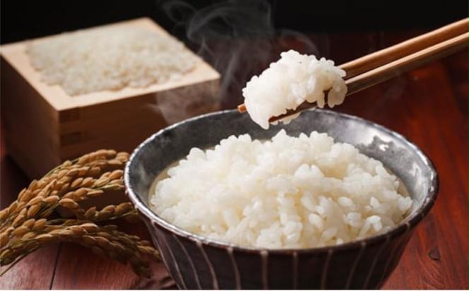 定期便3ヶ月お届け 令和五年産特別栽培米 コシヒカリ 5kg 