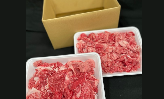 【定期便】常陸牛 たっぷりセット 3ヶ月連続  定期便 お肉 牛肉 