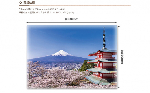 大きいおふろポスター【富士山と桜】マグネットシート製