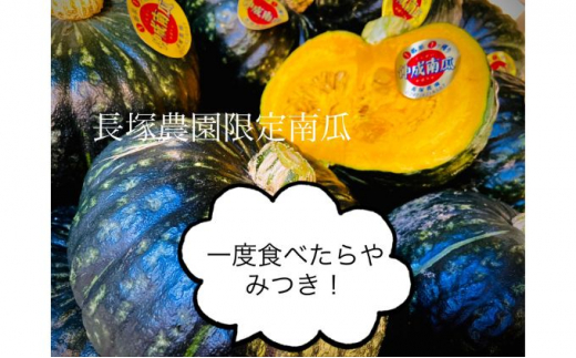 【先行予約】令和7年 プレミアム伸成かぼちゃ・優香メロン ｜ カボチャ パンプキン めろん 常総市 果物 フルーツ ※2025年6月中旬～6月下旬頃に順次発送予定 ※沖縄・離島への配送不可