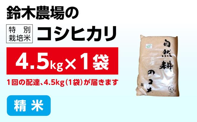 令和六年産特別栽培米コシヒカリ4.5kg 精米 