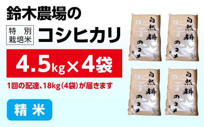 令和六年産特別栽培米コシヒカリ18.0kg（4.5kg×4袋）精米 