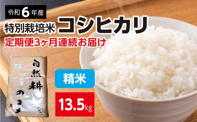 【定期便】3ヶ月連続お届け 令和六年産特別栽培米コシヒカリ4.5kg 