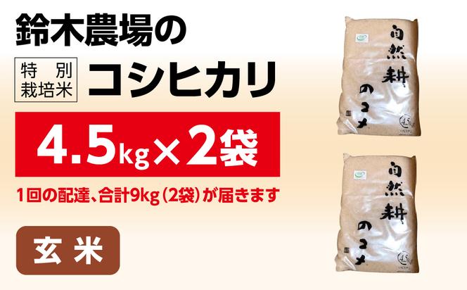 令和六年産特別栽培米コシヒカリ9kg（4.5kg×2袋）玄米