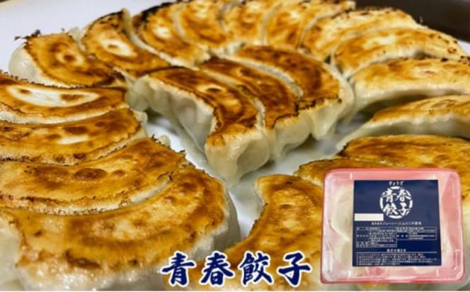 餃子専門店青春餃子のもちもち肉汁餃子15個入り×3パック 45個