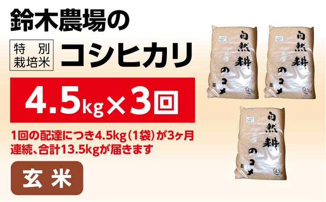 【定期便】3ヶ月連続お届け 令和六年産特別栽培米コシヒカリ4.5kg 玄米 