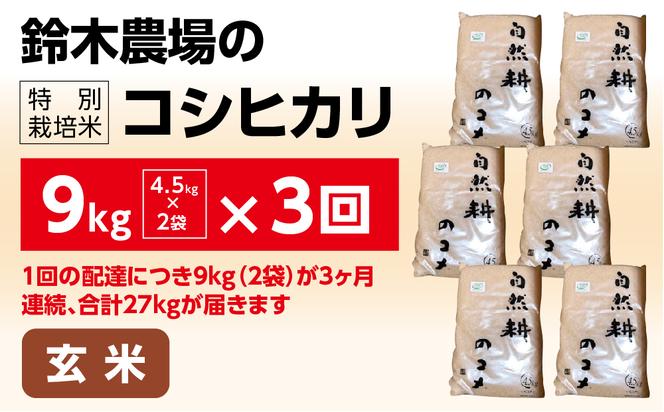 【定期便】3ヶ月お届け 令和六年産特別栽培米コシヒカリ9kg