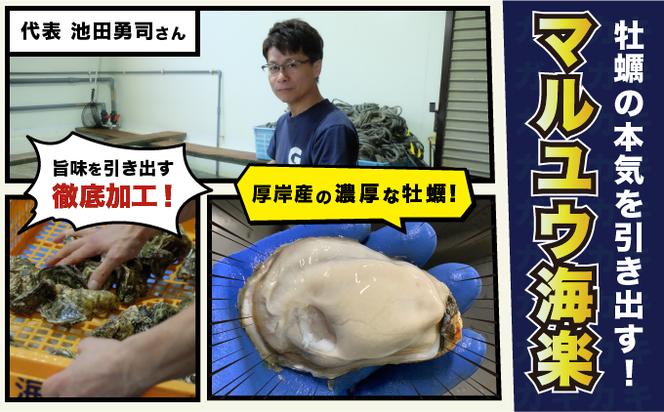 訳あり ハーフ 規格外 牡蠣 北海道厚岸産 殻付カキ 約2kg（11～25個）カキナイフ付 生食