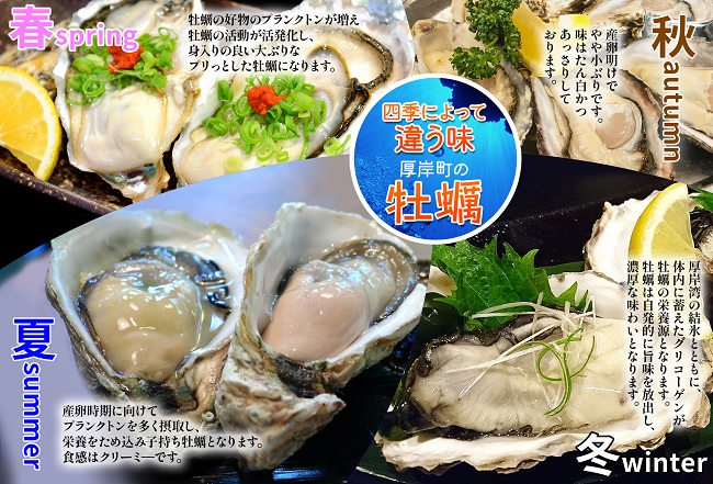 北海道 厚岸産 生食用 殻付カキ LLサイズ 10個 マルえもん 牡蠣 魚貝類 生牡蠣 かき 